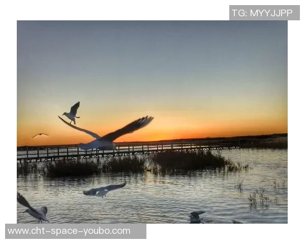 篮球火中的经典台词带你重温青春热血与梦想追逐的感动瞬间